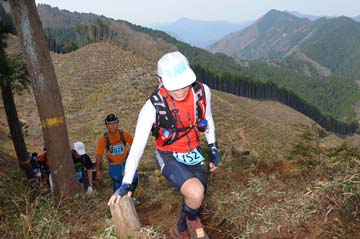 hase30k2013_1399