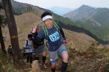 hase30k2013_1498