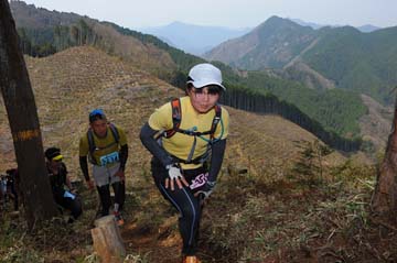 hase30k2013_1537
