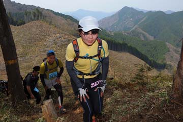hase30k2013_1539