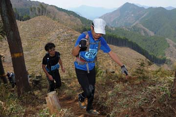 hase30k2013_1548