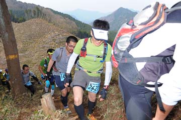 hase30k2013_1564