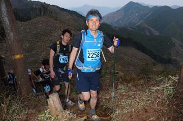 hase30k2013_1649