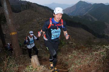 hase30k2013_1661