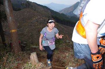 hase30k2013_1671