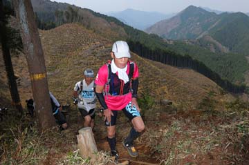 hase30k2013_1697
