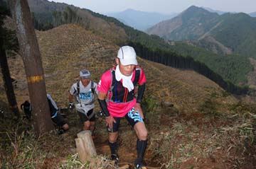 hase30k2013_1698
