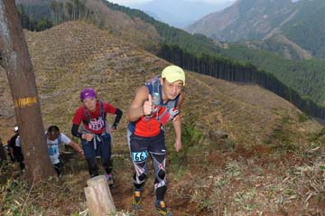 hase30k2013_1706