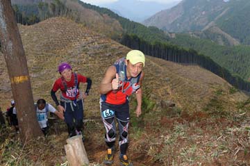 hase30k2013_1707
