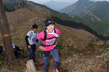 hase30k2013_1712