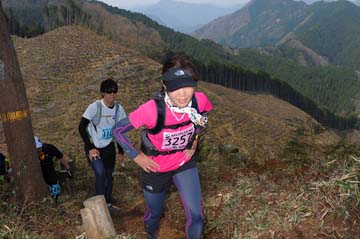 hase30k2013_1713