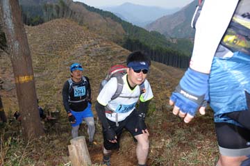 hase30k2013_1730