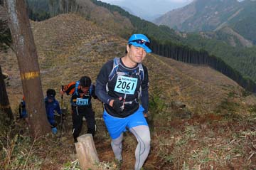 hase30k2013_1733