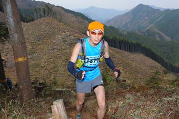 hase30k2013_1738