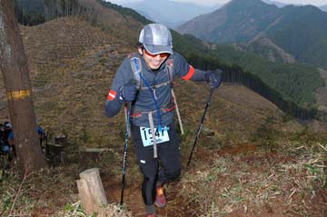 hase30k2013_1766