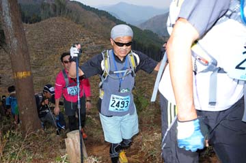 hase30k2013_1772