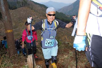 hase30k2013_1773