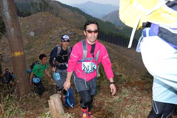 hase30k2013_1774