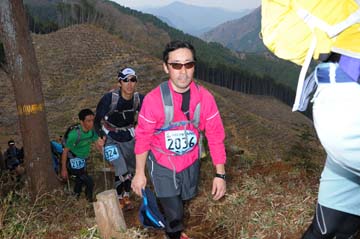 hase30k2013_1775