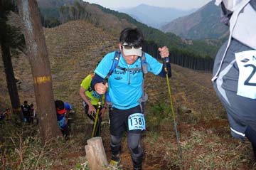 hase30k2013_1781