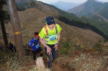 hase30k2013_1782