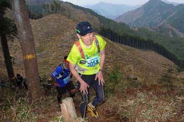 hase30k2013_1783
