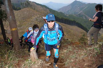 hase30k2013_1799