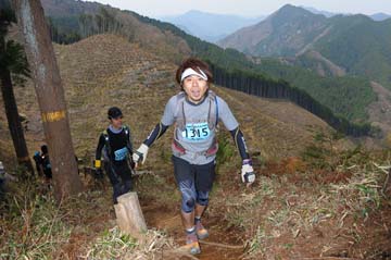hase30k2013_1824