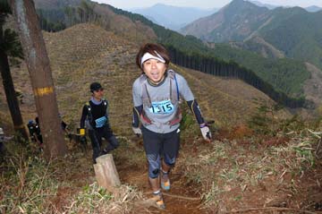 hase30k2013_1825