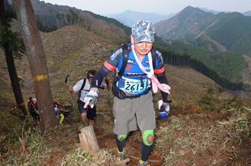 hase30k2013_1872