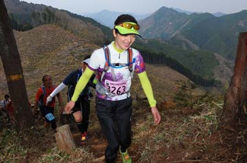 hase30k2013_1877