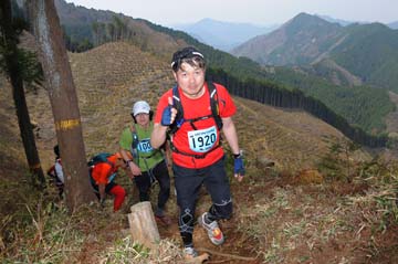 hase30k2013_1883