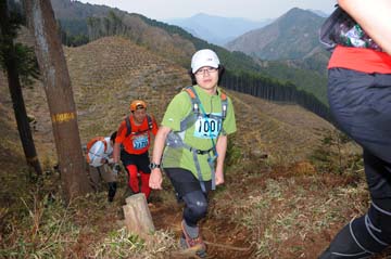 hase30k2013_1886