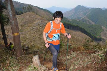 hase30k2013_1911