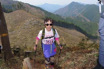 hase30k2013_1965