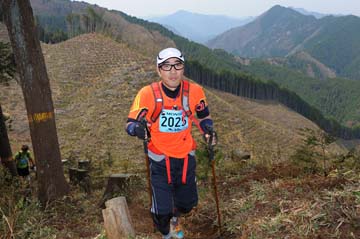 hase30k2013_1974