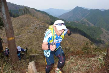 hase30k2013_1984