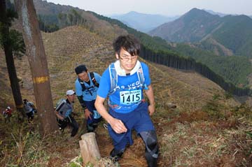 hase30k2013_1995