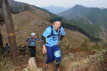 hase30k2013_1996