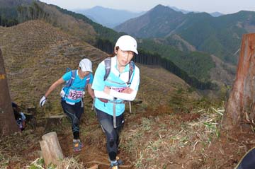 hase30k2013_2015