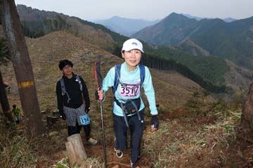 hase30k2013_2041