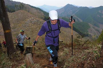 hase30k2013_2115