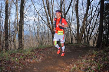 hase30k2015_0010