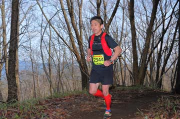 hase30k2015_0095