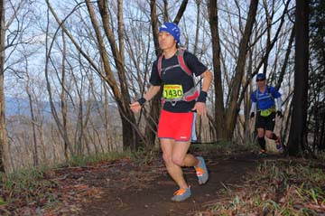 hase30k2015_0116