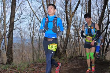 hase30k2015_0141