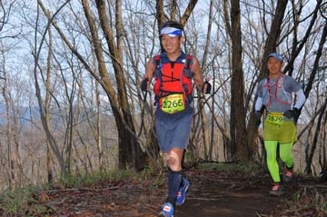hase30k2015_0191