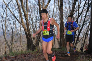 hase30k2015_0200