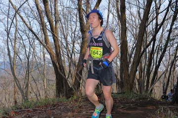 hase30k2015_0216