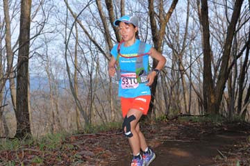 hase30k2015_0288